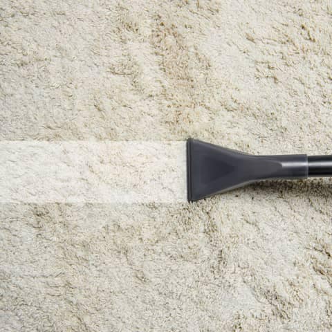 Carpet & Rug Cleaning — Our lead specialty, done right, serving Greater Boston, MA