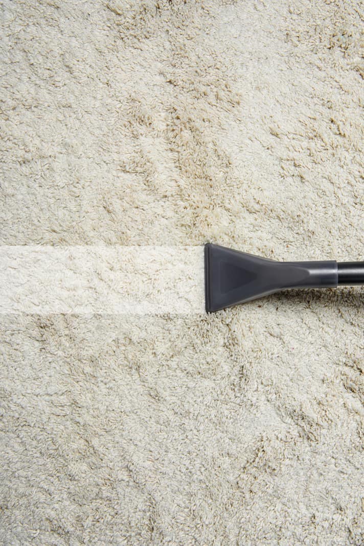 Carpet & Rug Cleaning