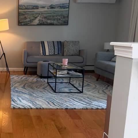 Living room after Bolanta Carpet Cleaner cleaning — fresh area rug, sofa and polished hardwood floors