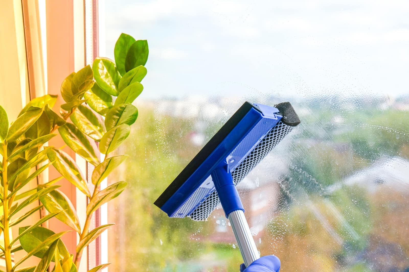 Window & Glass Cleaning